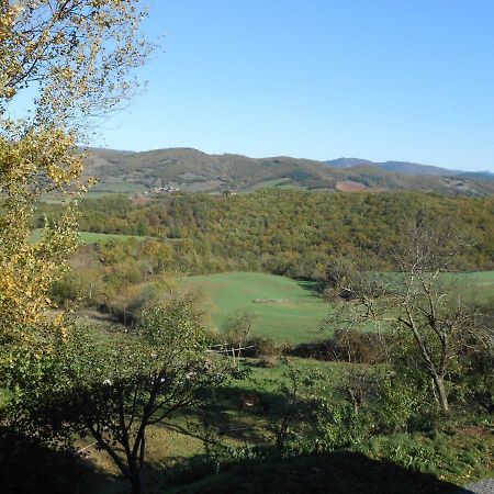 Chambre D'Hotes Des Monts Saint-Izaire Екстер'єр фото