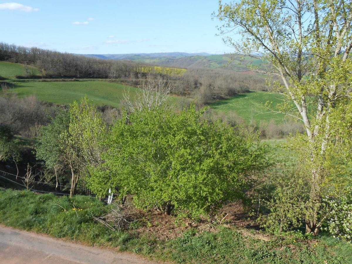 Chambre D'Hotes Des Monts Saint-Izaire Екстер'єр фото